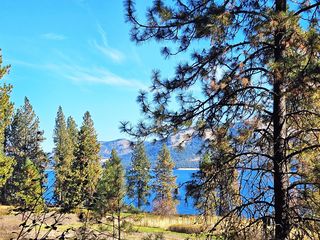 1 Cline Rd, Kettle Falls, WA 99141