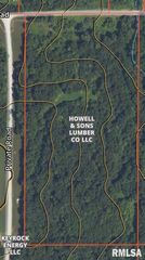 20283 Thorn Rd, Thompsonville, IL 62890