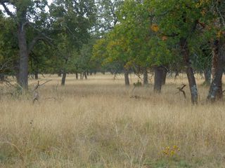 Lot 6 Vintage Oaks Dr, Fredericksburg, TX 78624
