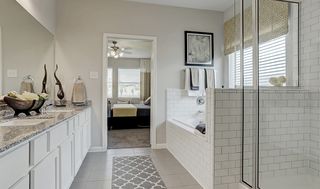 Luxurious owner s bath