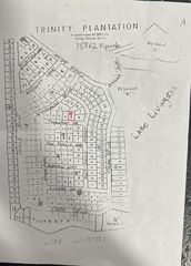 Lot 5 Thornton St, Trinity, TX 75862
