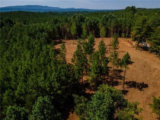 1 Young Loop #1, Fairmount, GA 30139