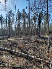 Sauble Rd, Free Soil, MI 49411