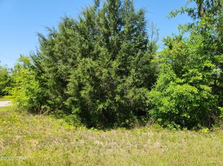 Lake McKenzie Blvd NW, Altha, FL 32421