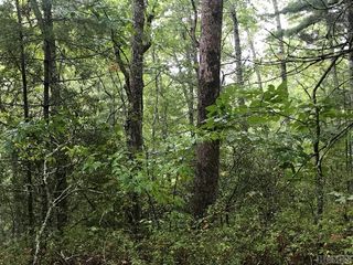 lot19&20 Hare Hollow Road, Greenville, NC 27836