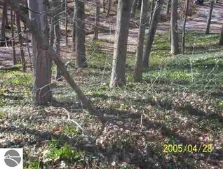 Edwards Ave, Frankfort, MI 49635