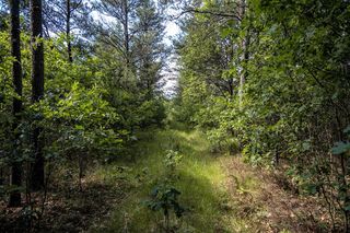 Lot 8 18th Ave, Necedah, WI 54646