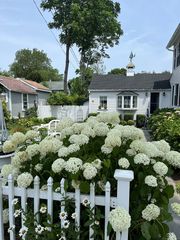 7 Pratt St #8, Essex, CT 06426