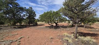 3730 S  Canyon Vista Rd, Williams, AZ 86046