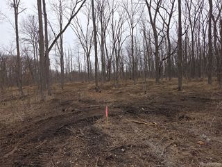 PARCEL Cullen Rd #D, Hartland, MI 48353