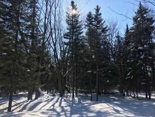 Wildwood Ln, Grayling, MI 49738