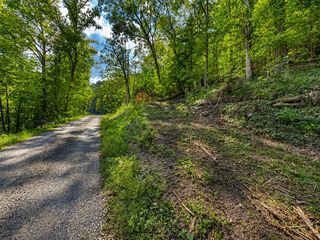 Halls Hollow Rd, Smithville, TN 37166