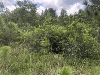 0 Xeriscape Nursery Road, Frostproof, FL 33843