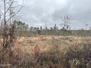 Tract 6402 S  Chance Rd, Chipley, FL 32428
