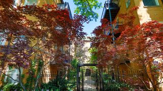 7631 N  Greenview Ave #1F, Chicago, IL 60626