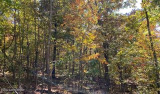 L18 Ted Logsdon Rd, Clarkson, KY 42726
