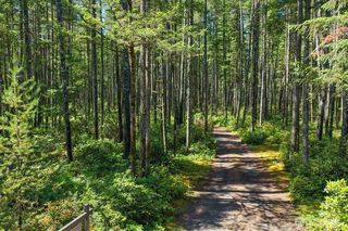 0 TR42 NE Sides Way, Belfair, WA 98528