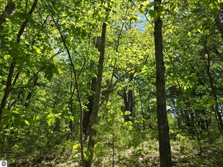 E  Long Lake Rd, Cadillac, MI 49601