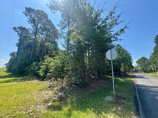 Tract 1 Whiddon Mill Rd, Poulan, GA 31781