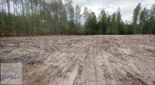 1 Fire Tower Rd SE, Ludowici, GA 31316