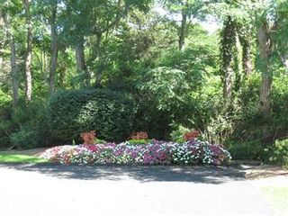 6 Spicebush Terrace #6, Brewster, MA 02631
