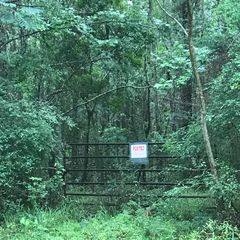 Burgetown Rd, Carriere, MS 39426
