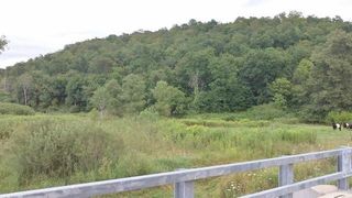Osage, Ontario, WI 54651