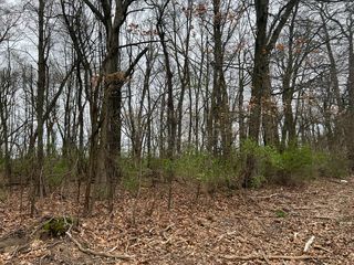 Crystal Springs St, Dowagiac, MI 49047