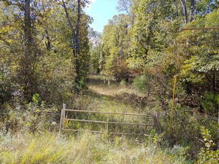 County Road 803A, Gainesville, MO 65655