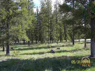 Tbd Moose Dr, West Yellowstone, MT 59758