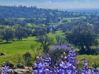 25420 Road 207, Coarsegold, CA 93614
