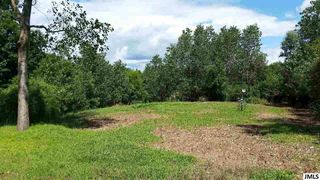 Dunn Rd, Munith, MI 49259