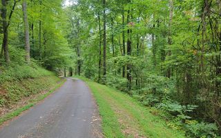 2 N  Lynn Haven Ln, Hayesville, NC 28904