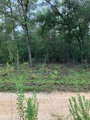 Tbd Ne 95th Ave, Bronson, FL 32621