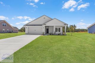 199 Freshwater Ln, Ludowici, GA 31316