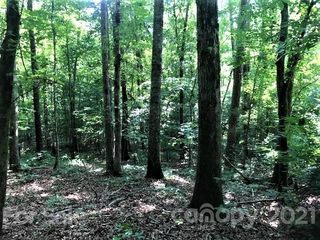 Starnes Cemetery Rd, Monroe, NC 28112