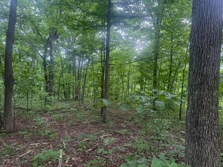 169 Greasy Ridge Rd, Sandy Hook, KY 41171