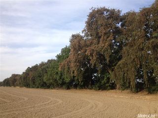 Montgomery Ave, Davis, CA 95616