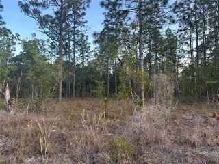 Lot 3 NW Amberjack Ave #3, Dunnellon, FL 34431