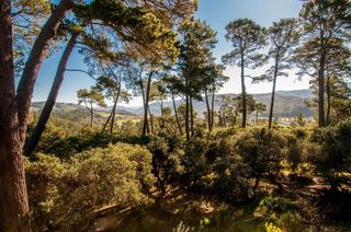 154 Del Mesa Carmel, Carmel, CA 93923