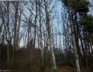 Tony holder Rd, Mount airy, NC 27024
