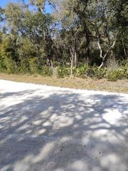 Lot 39 Otter Dr, Dade City, FL 33523