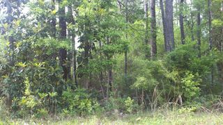 21 Jones Dr, Freeport, FL 32439