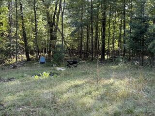 V/l Timber Trl, Prescott, MI 48756