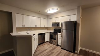 95 Burnett Ave  S #520, Renton, WA 98057