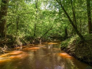 County Road 1122, Linden, TX 75563