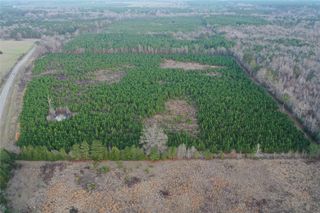 Highway 157, Plain Dealing, LA 71064