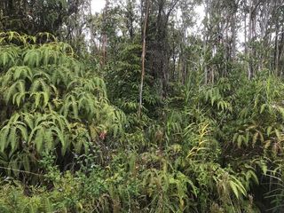 11-2014 Kaleponi Rd #56, Volcano, HI 96785
