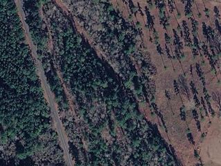 County Road 267, Lanett, AL 36863
