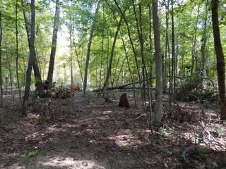 Russell Rd, Newaygo, MI 49337